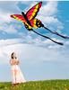 Beautiful Butterfly Kite Outdoor Games and Activities  Kite Kids