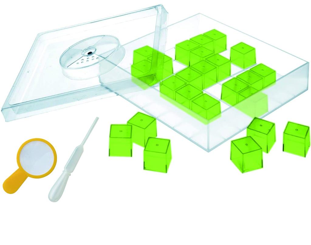 Gakken Ball Caterpillar Breeding Set Ball Caterpillar Exciting Maze House (Ages 6 and up) A750576