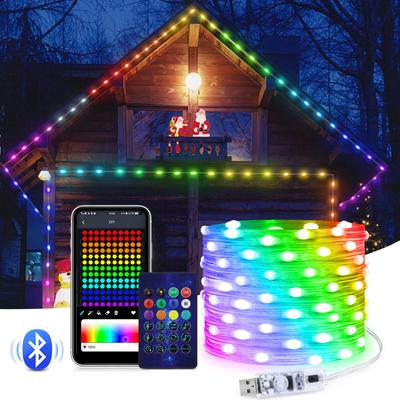 5M/10M/20M WS2812B RGBIC Bluetooth-julljus LED-snöre Födelsedagsfest Bröllopsrumsdekorationsljus Adresserbar 5V USB