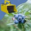 Blueberry Picking Tool Berry Picker with Rake Comb, Ergonomic Handle Blueberries Raspberries Handheld Harvest Tool, Fruit Scoop for Orchard