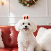 50PCS Christmas Dog Bows with Rubber Bands Puppy Hair Clips with Santa Claus Christmas Tree Elk Snowflake Dog Hair Accessories for Small Medium Dogs