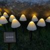 3.5M 10LED – matches the image