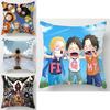 Vibrant One Piece Cartoon Cushion Cover For Sofa And Home Decor With Soft Texture