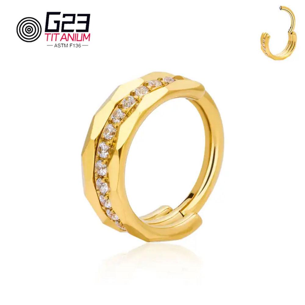 1/10 Stück Großhandel G23 Titan Piercing Nasenring Runder Scharnier Segment Ring Clicker Ohrknorpel Tragus Piercing Körperschmuck