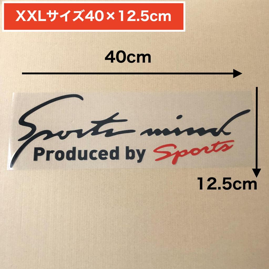 Sports Mind Universal Side 8 5 Sizes Car/Motorcycle Sticker/Decal, Dress-Up Sticker, Colors, (Black, XXL, 40x12.5cm)