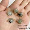 Natural Flash Labradorite Stone Charm Pendant Healing Semi-precious Stone Connector for Jewelry Making Necklace Accessories Gift