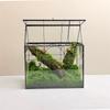 Mikro-Moos Regenwald-Landschaft Glas-Terrarium Miniatur-Garten Moos-Ökosystem Schreibtisch-Gewächshaus Innen-Haus Tischvase