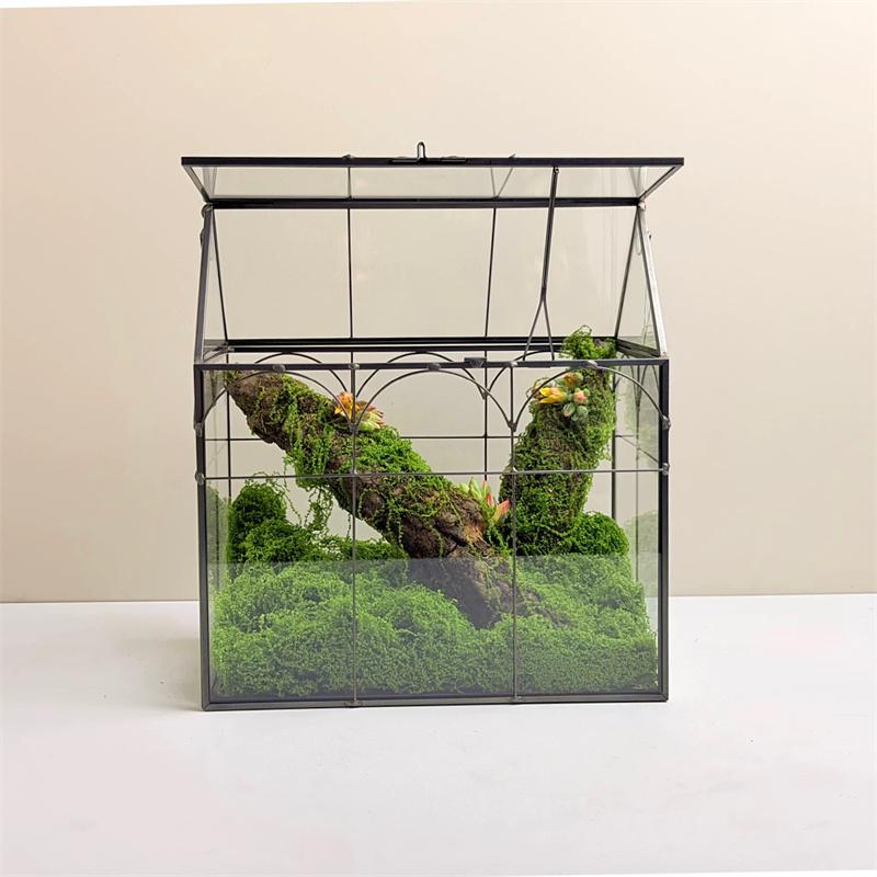 Mikro-Moos Regenwald-Landschaft Glas-Terrarium Miniatur-Garten Moos-Ökosystem Schreibtisch-Gewächshaus Innen-Haus Tischvase