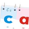 Alphabet Learning Calendar And Flash Cards Bundle for Kids