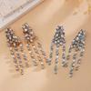 European and American Silver Needle Diamond-encrusted Round Fringed Stud Earrings French Light Luxury Earrings Niche Design Earrings