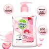 Dettol Moisturizing Care Antibacterial Hand Wash Refill