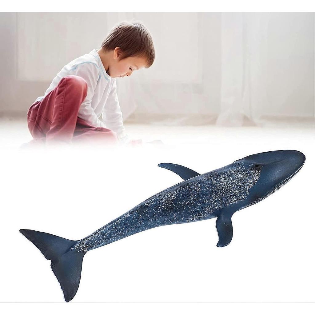 Marine Animal Model Toy, Simulation Blue Whale Miniature Animal Toy Science Ocean Creatures Model Educational Model Toy for Children Kids