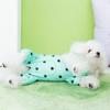 Pet Supplies Bear Polka Dot Belly Protection Home Clothes Dog Clothes Spring and Summer Thin Clothing
