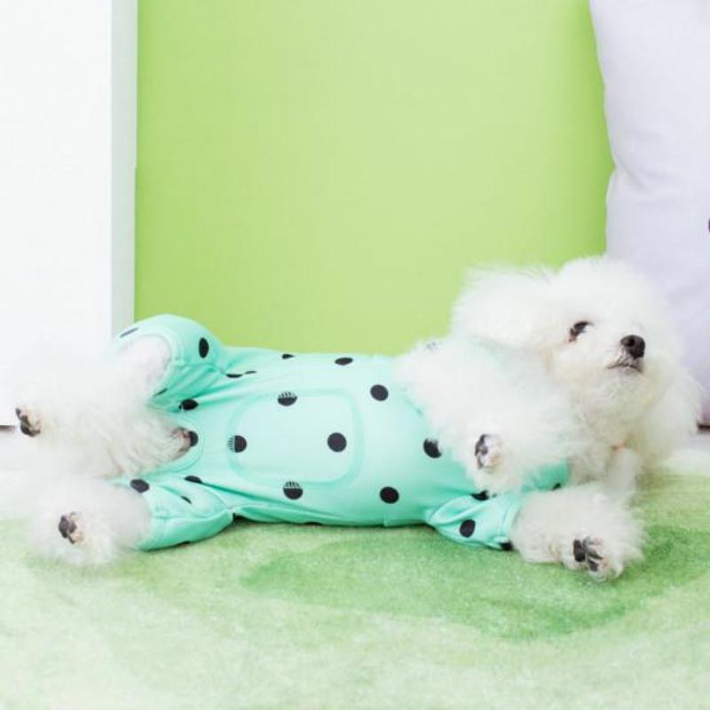 Pet Supplies Bear Polka Dot Belly Protection Home Clothes Dog Clothes Spring and Summer Thin Clothing