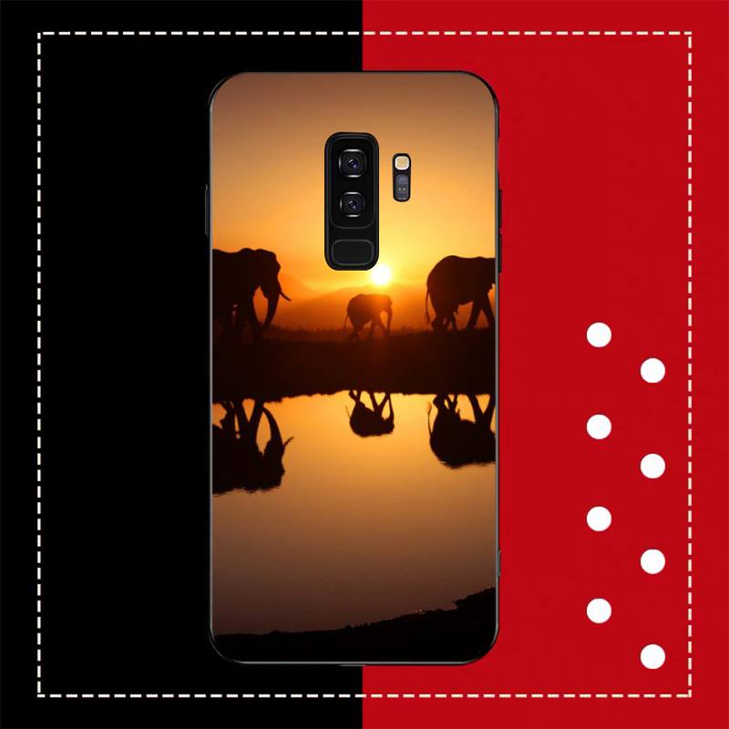 Animal Elephant  Phone Case for Samsung A51 A30s A52 A71 A12 for Huawei Honor 10i for OPPO Vivo Y11 Cover