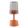 Travel Toothbrush Cup Storage Holder with 3 Slots Dustproof Compact Portable Bathroom Toothbrush Toothpaste Storage Rack