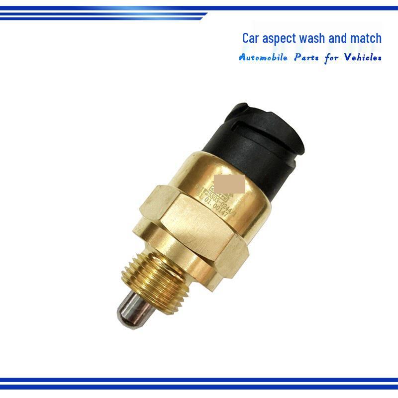 Sinotruk T7-T5G Howo Axle Differential Lock Sensor 811W25503-0244