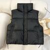 Autumn and Winter New Lambskin Cotton Clothes Vest Women's Stand-up Collar Zipper Cardigan Loose Women's Vest