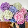 Hortensias simulés imprimés en 3D en 144 pièces - Parfaits pour les compositions florales DIY et les décorations de mariage.