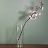 Hydroponic Plants Acrylic Cylinder Vase Transparent Fresh Flowers Decorative Bottles For Wedding Dining Table Centerpieces
