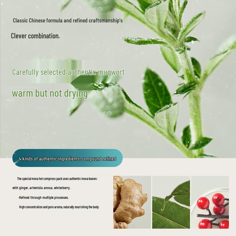 Philips Portable Mugwort Herb Heat Massager