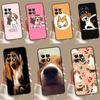 Beagle Dog Cute Cartoon Case For OnePlus 12R 10R 9R 10T 8T 8 9 10 Pro 11 12 OnePlus Nord CE 2 3 Lite N10 N20 Cover