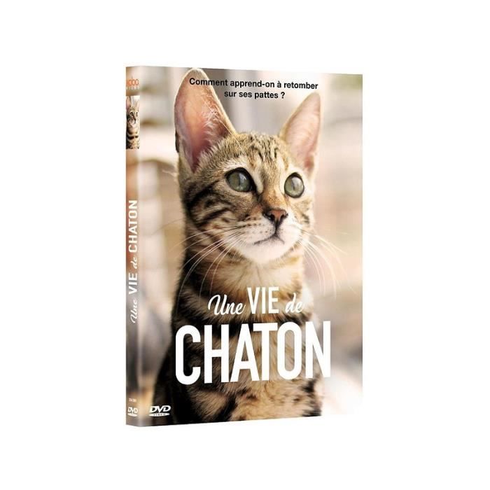 Une Vie De Chaton [DVD]