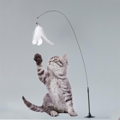 Gatti – Giocattoli per gatti