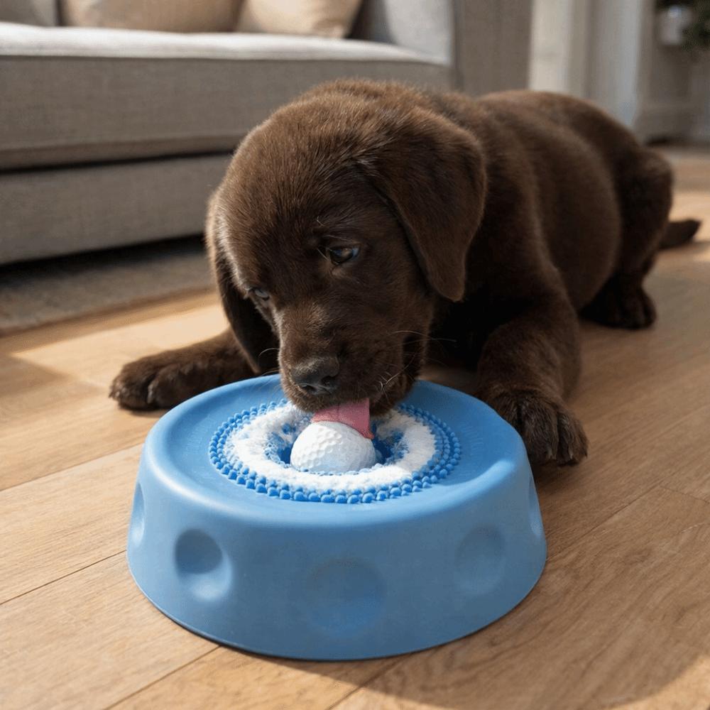 Rolling Ball Pet Feeding Bowl Anti-slip Pet Slow Feeder Creative Dog Treat Bowl  Pet Enrichment