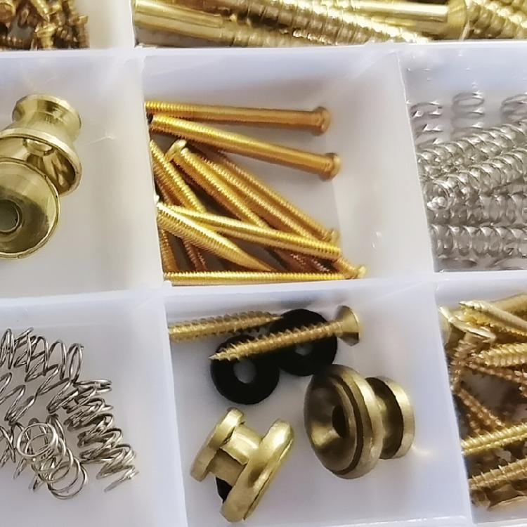Guitar Parts Kit for Neck Plate, Pickguard, Strap End Pins, Guitar DIY Screws