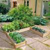 Garden Bed Wooden Planter Box Stand with Large Planting Space for Vegetables Fruit Herbs Flower Garden Planting Bed for Backyar