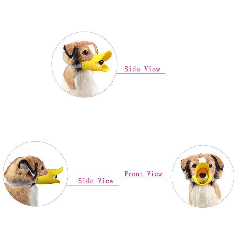 quack muzzle