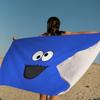 Sesame Street Cartoon Microfiber Blanket Quick Drying Beach Towels Oversized Printing Super Absorbent Pool Towel Blanket