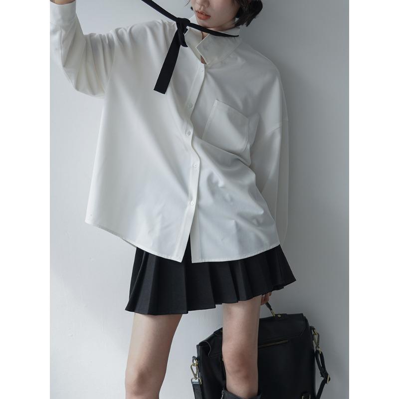 College Style Bokstavsbroderi Långärmad skjorta Dam Vår och höst Lös design Nisch blus Toppar