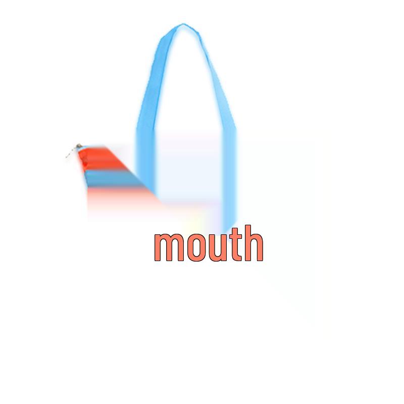 Large Capacity Children's Beach Toy Storage Mesh Bag