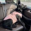 Lightweight Dog Tank Top Cartoon Print Pet Cooling Vest Cute Style Sleeveless T-Shirt  Travel