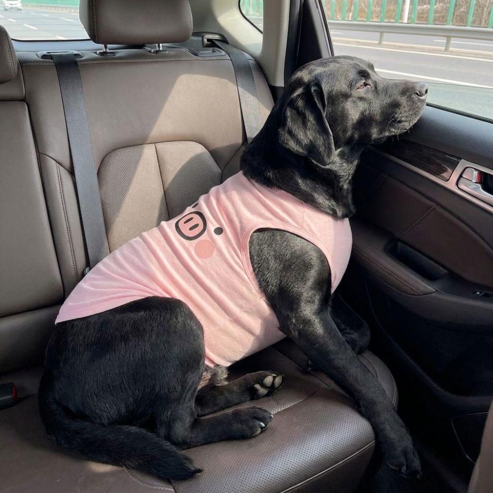 Lightweight Dog Tank Top Cartoon Print Pet Cooling Vest Cute Style Sleeveless T-Shirt  Travel