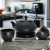 CAST IRON KETTLE 0.8L TEA AND HERB INFUSER 2x CUPS PLATE