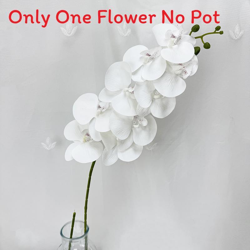 Phalaenopsis Aphrodite Rch Artificial Flower For Wedding Decor And Home Arrangement