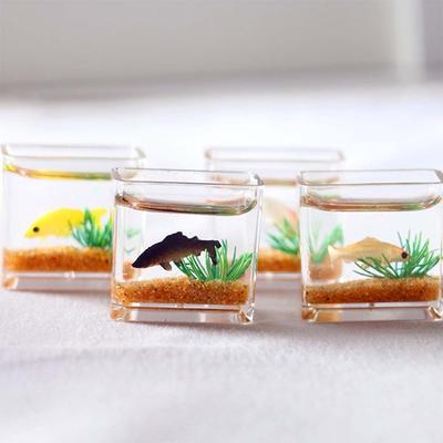 Fische & Meerestiere – Aquarien-Einrichtung