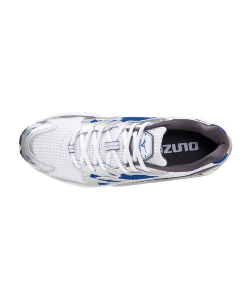 [Mizuno] Wave Rider 10 - White:Silver:Surf The Web / D1GA210406 [Shipped from Korea] 100% Authentic