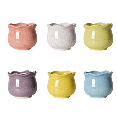 Set of 6 Succulent Cactus Bonsai Tabletop with Flower Ornamental Plant Housewarming Gift 6, Colors, Pot, 886.5cm, Small, Ceramic, Pot, Pot, Pot,