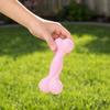 Dog Chew Toy, Soft TPR Teething Bone for Small Dogs, Stain Resistant Deep Teeth Cleaning Stick for Puppy