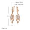 Rose Gold Color Fine Drop Earrings For Women Crystal Flower White Natural Zircon Accessories Daily Vintage Jewelry