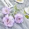 Peony Flower Artificial Wedding Hotel Restaurant Decoration Photography Props