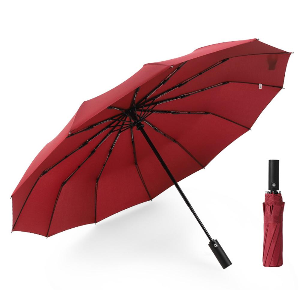 

Windproof Umbrella Large 12-Rib Folding Travel Umbrella with Automatic Opening and Closing for Rain/Sun C
