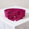 Elegant Bowknot Waist Straps Solid Color Elastic Waist Belt Wide Adjustable Dress Belt For Dress Decorate Clothes Accessories