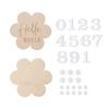 Baby Milestones Card