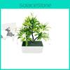 Tree Garden Cymbidium Decor Potted Plant With Realistic Look For Use Indoor