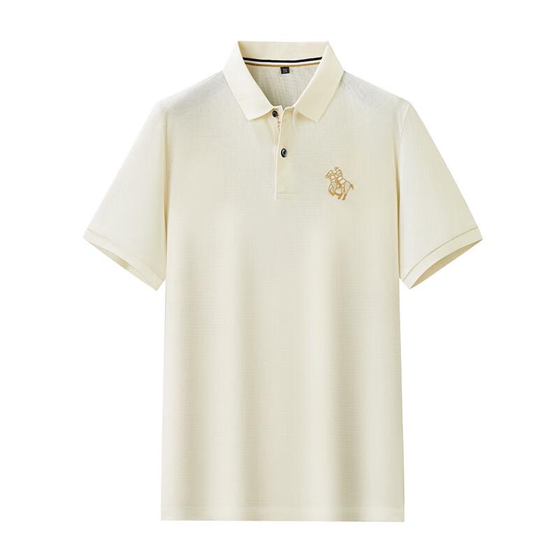 

Dibinze Men s Plus Size Mercerized Cotton Short-Sleeve Polo Shirt 4XL